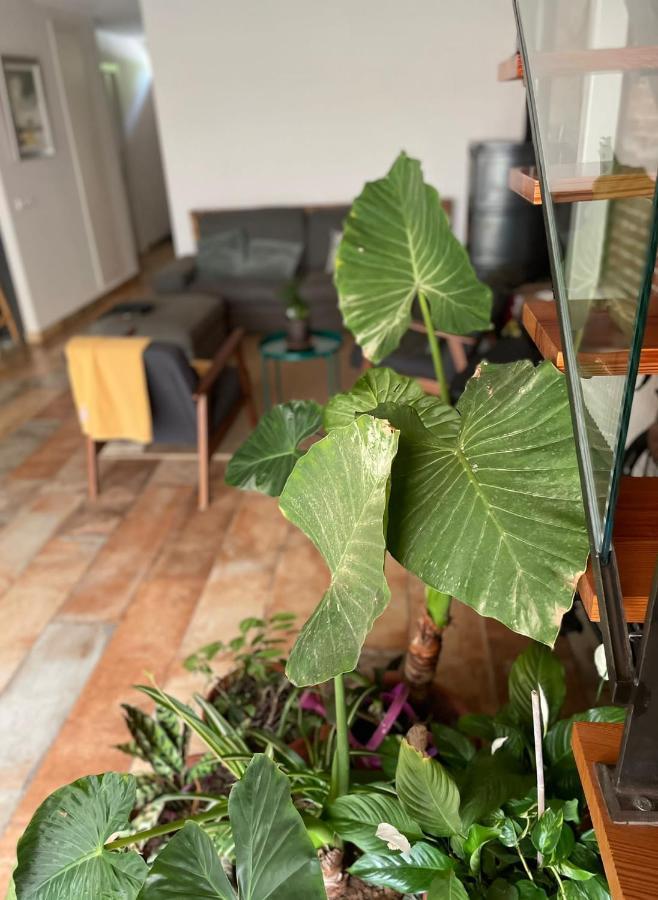 Apartmán Laindustria Palamós Exteriér fotografie